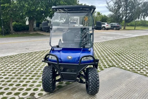 Innovative model of electric golf carts that shows luxury finishes on the exterior that are in blue with some black details.