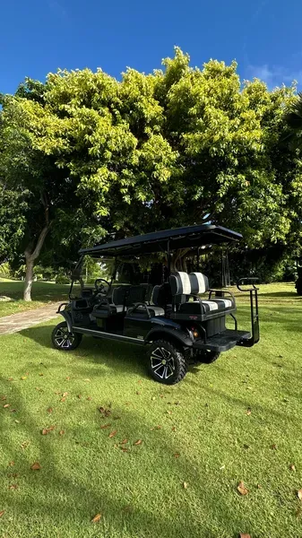 D5 Ranger 4/6 White golf cart from Luxury Electric, standing proudly in front of a majestic tropical tree, offering a perfect balance of elegance and strength.
