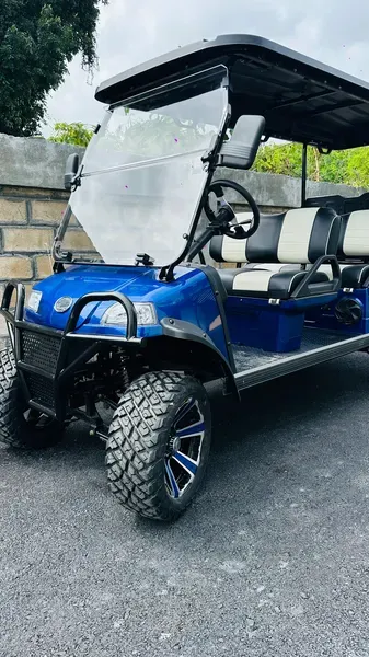 Forester 6 Plus Blue, un moderno carrito de golf eléctrico en color azul eléctrico, estacionado frente a una barda de piedra.