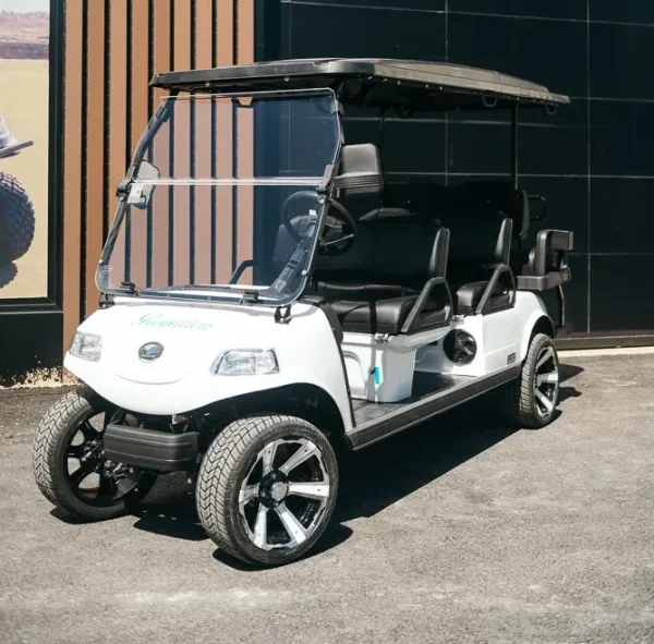 Carrito de golf blanco con negro. Muestra la importancia del Mantenimiento de carritos de golf