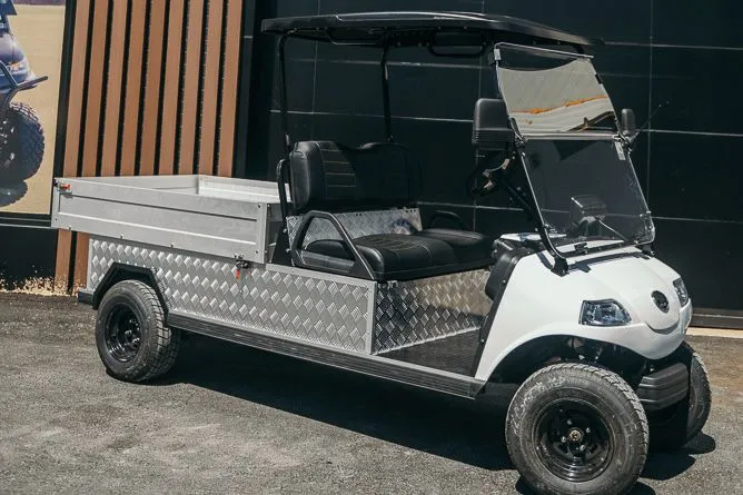 Modelo con caja trasera metálica muestra una variante funcional del mejor carrito de golf.