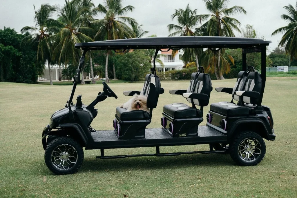Discover the Top Benefits of Using Luxury Golf Carts like this sleek, eco-friendly model on the green, blending style with green mobility.