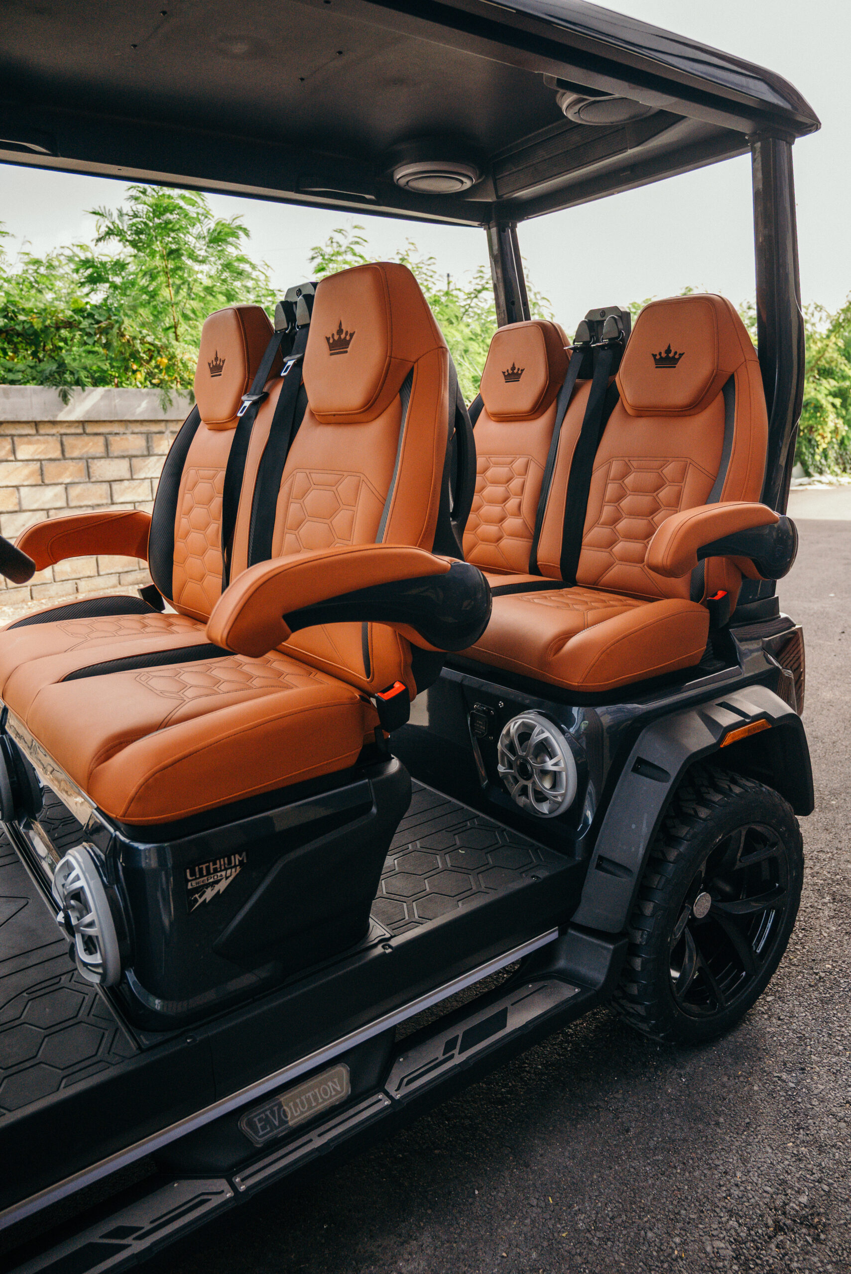 Evolution D-MAX golf cart with premium finishes, spacious interior, LED lighting, and excellent performance.