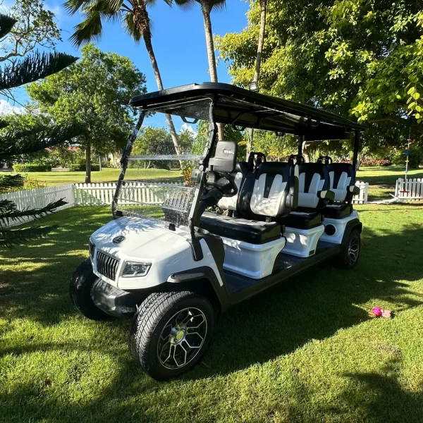 Uno de los modelos que hay disponibles, es para saber como elegir el carrito de golf eléctrico ideal